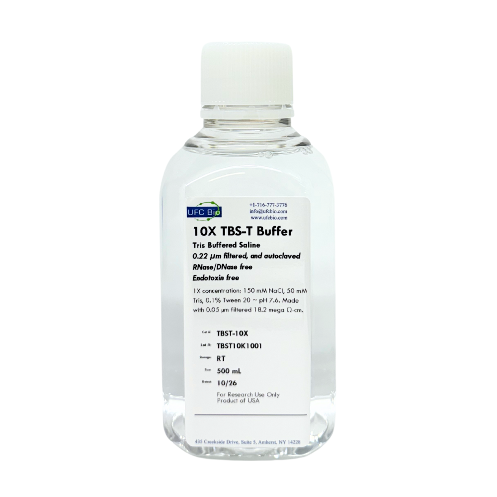 10X TBS-T (Tris-buffered Saline with Tween-20) - 500 mL