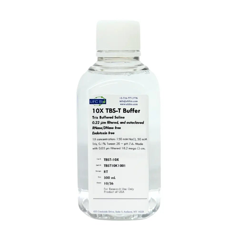 10X TBS-T (Tris-buffered Saline with Tween-20), 500 mL