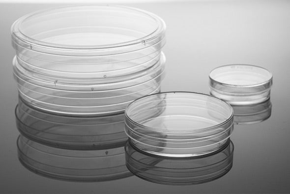 Nest Scientific Cell Culture Dish, TC, sterile