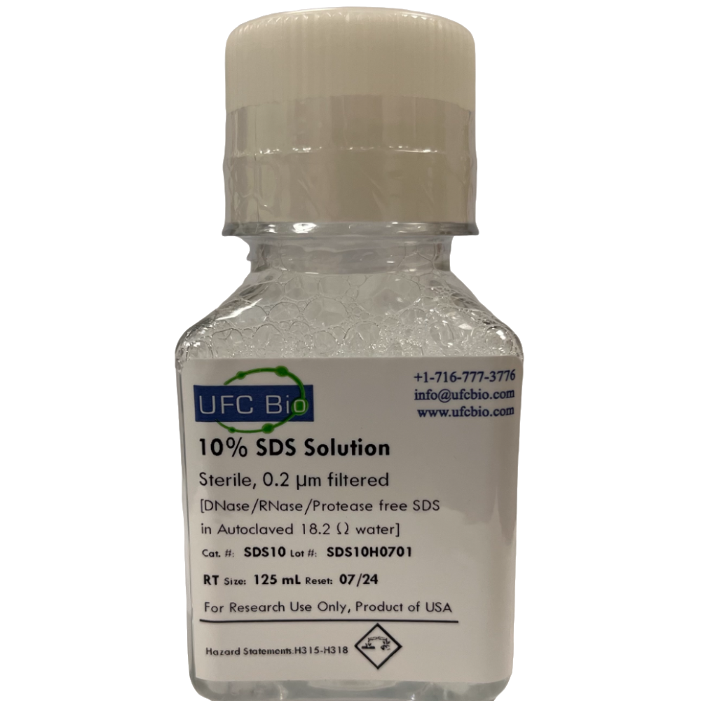10% SDS, Molecular Biology Grade - 125 mL