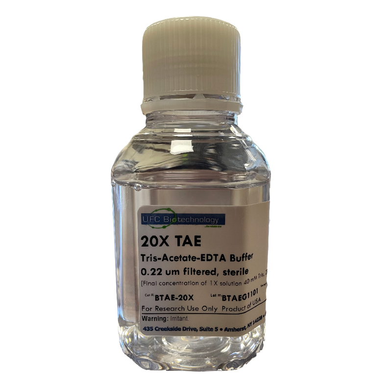 20X TAE (Tris Acetate EDTA) Buffer - 250 mL