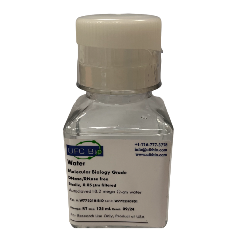 Water – Molecular Biology Grade