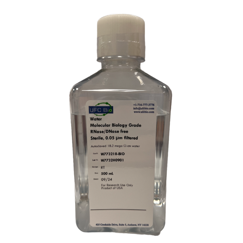 Water – Molecular Biology Grade